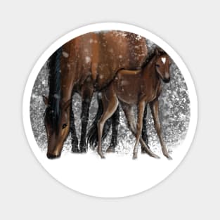 Horses in the snow Magnet